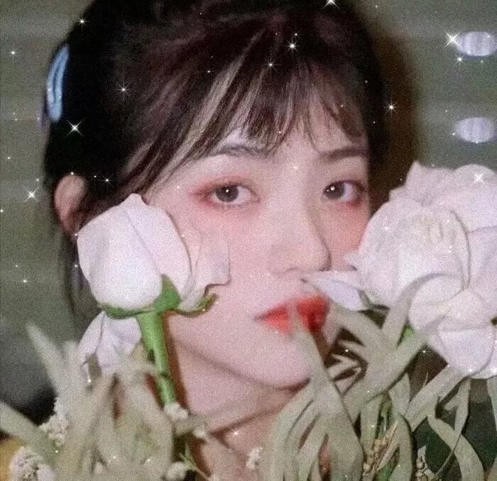 被狮子吃掉了