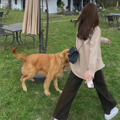 求爱上上签