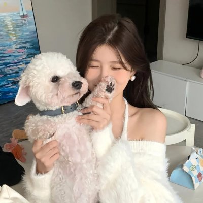 动画动漫
